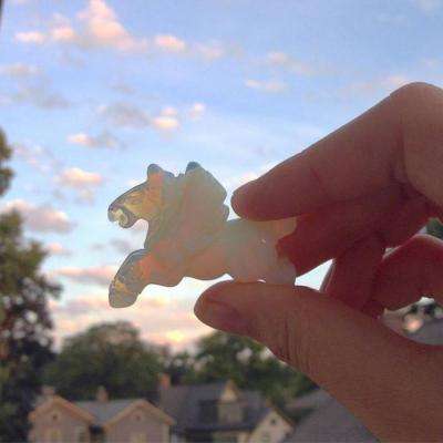 五子连珠消消看